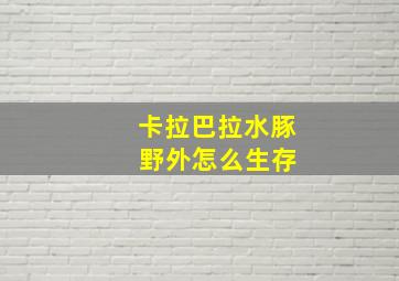 卡拉巴拉水豚 野外怎么生存